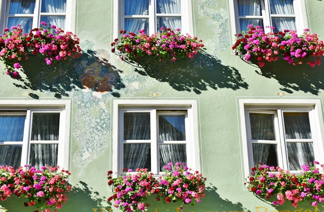 Plants in British Columbia and Where to Buy Planters for Your Garden