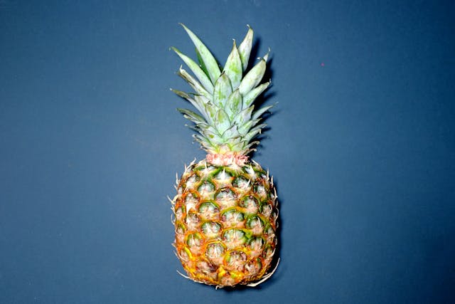 Growing a Coffee Plant and a Pineapple Tree: A Guide for Home Gardeners